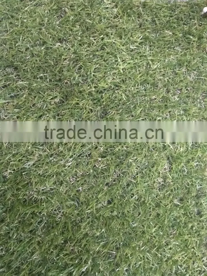 Fashion outdoor & indoor grass decoration