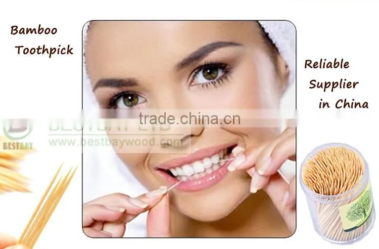 Two point bamboo toothpick
