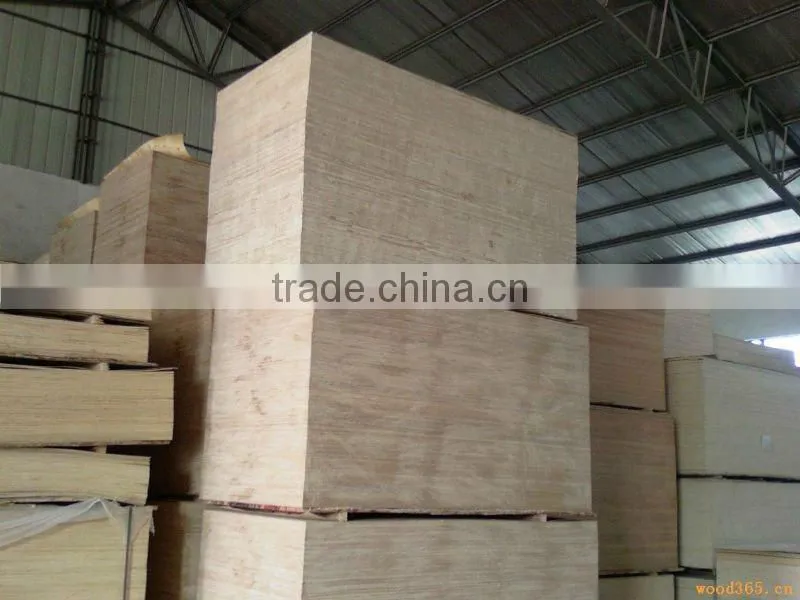 Okoume Plywood