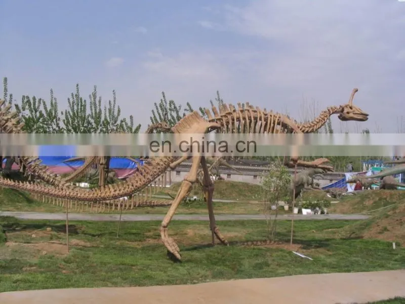 Theme Park High Simulation Dinosaur Skeleton Fossil
