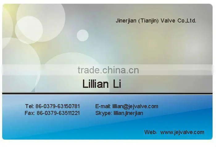 Jinerjian efficient GL41H Flange filter