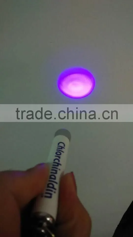 new product for 2015 led custom logo projector torch keychain,led keychain with projector,promotional gifts led logo laser light