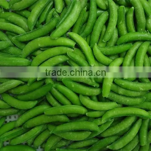 IQF frozen fresh high quality suger snap pea