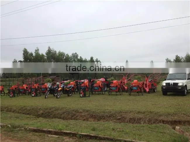 6BZ-5 sugarcane top removing machine/sugarcane leaf removing machine for sale