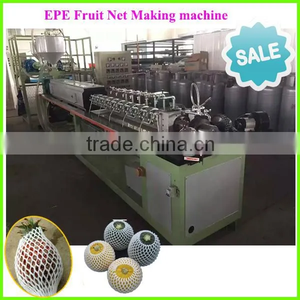 PE fruit & vegetable protective net mechinary manufacture