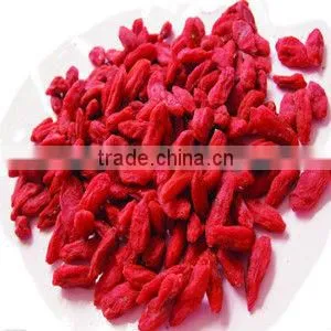 blueberry microwve engergy drying sterilization machine-sterilizing machine-drying machine