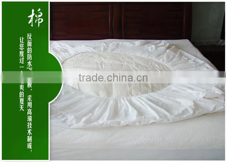 Bed Bug Mattress Cover