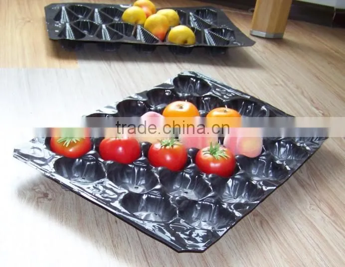 Fruit Punnet