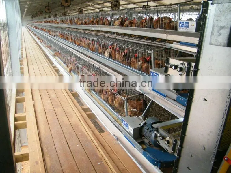auto duck feeding system