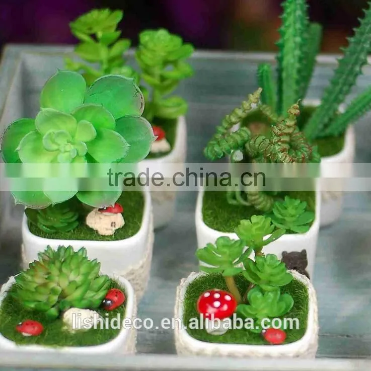 Home Garden Decoration Artificial Succulent Pots Wholesale Bonsai Pot