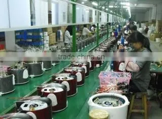 Lianjiang Ricco Electrical Appliance Co., Ltd. company overview - view 1