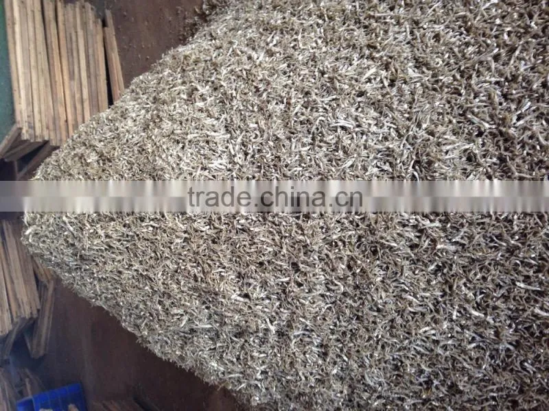 EXPORT BOILED ANCHOVY SPRATS (Email: katherine.vilaconic@, Viber, Whatsapp: +841687264621)