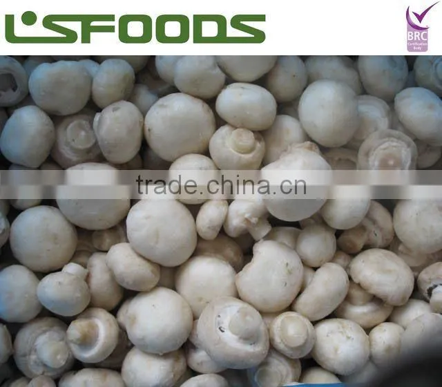 Frozen Mushroom Button Mushroom Champignon Mushroom