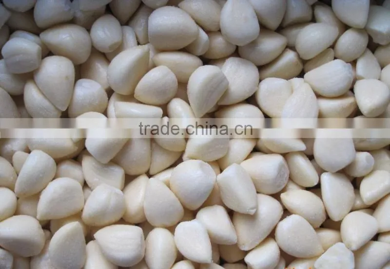 Good Qaulity IQF Peeled Garlic