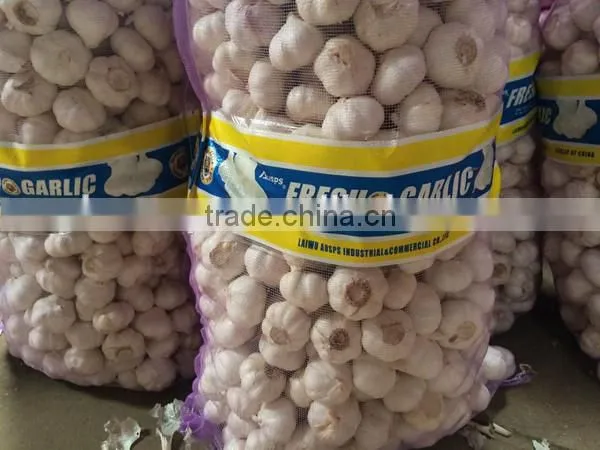 garlic mesh bag