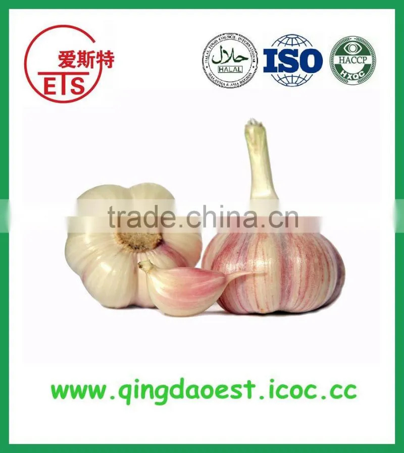 Bulk offer jinxiang factory garlic for all the world with best quality