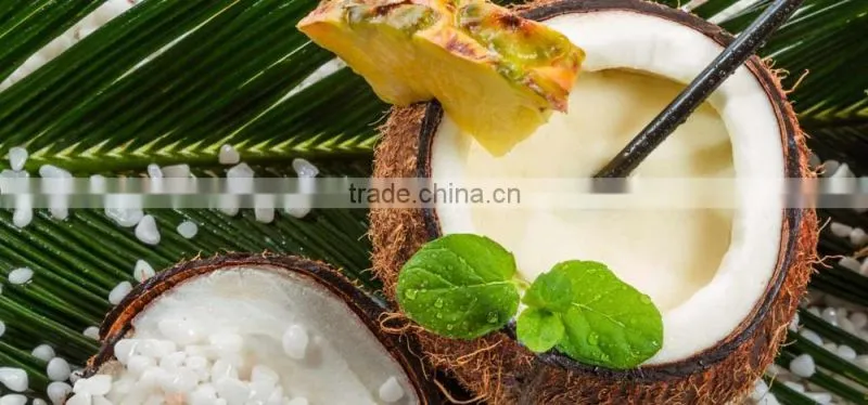 Coconut Milk 240 ml