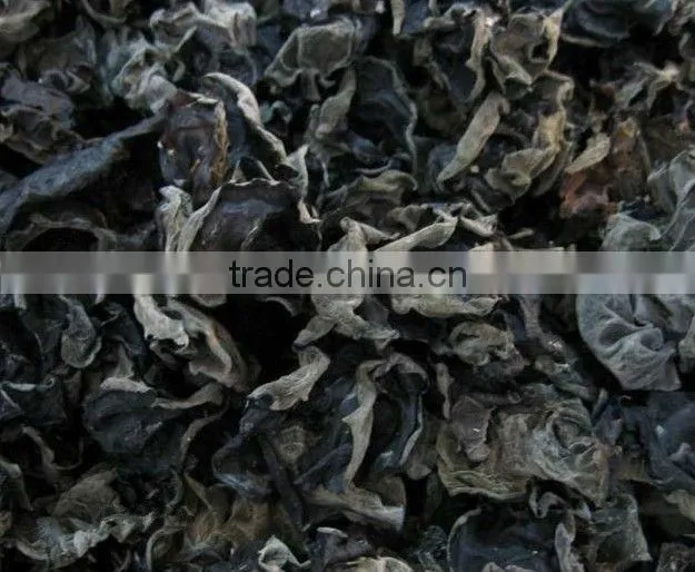 dried black fungus