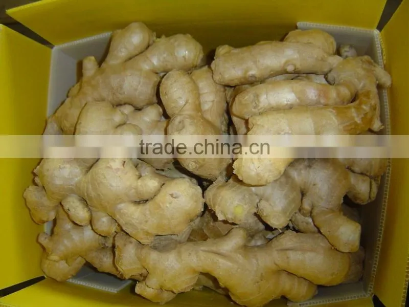 Chinese organic air dried ginger