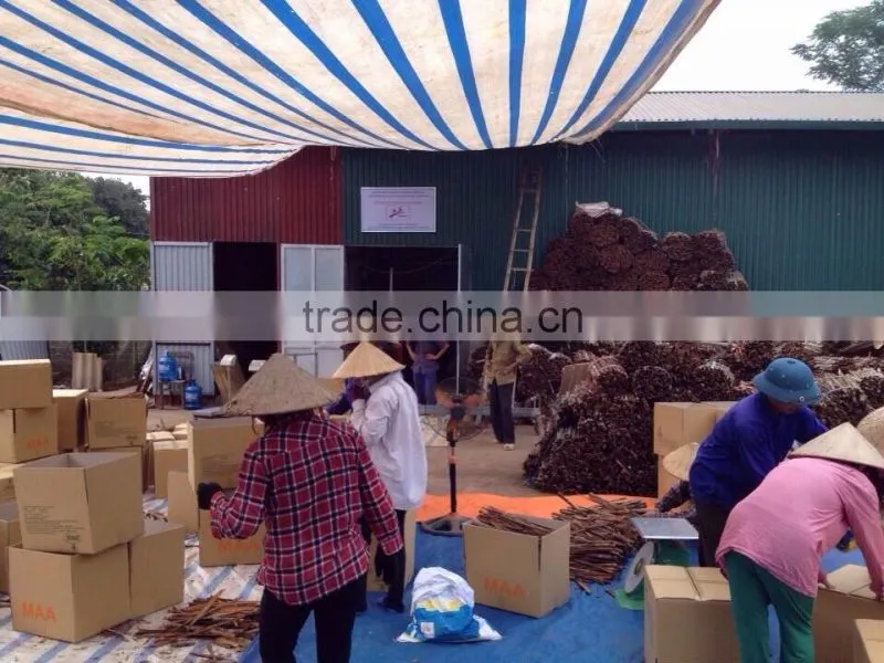 VIETNAM VINAPRO CIGARETTE CINNAMON - MAIN MANUFACTURER