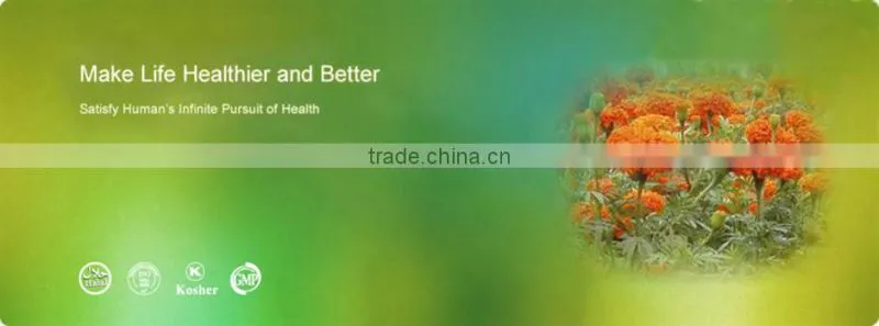 Ivy Extract/Hederagenin C /Hedera Helix Extract