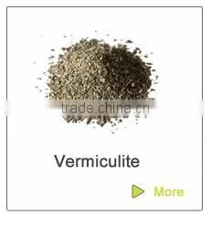 Garden Expanded Perlite for Horticulture