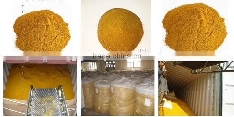 Animal Feed for Corn Germ Meal