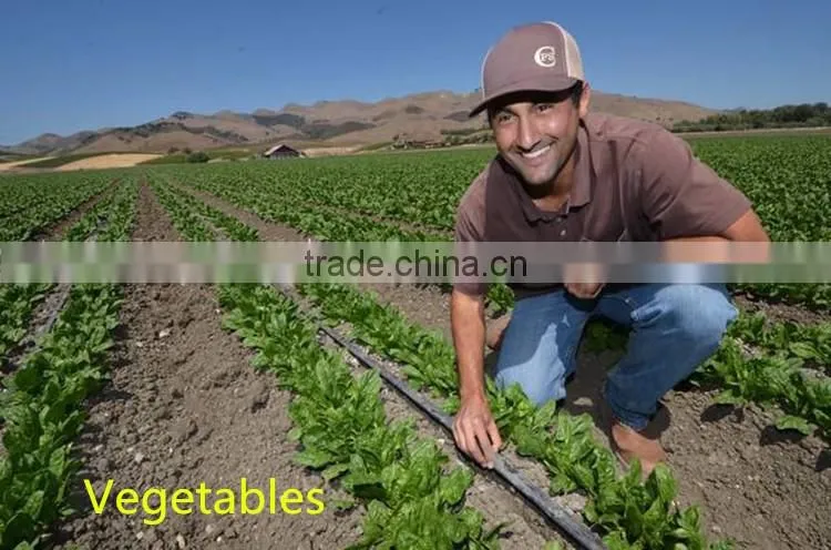 farmland plastic flat emitter drip irrigation pipe price