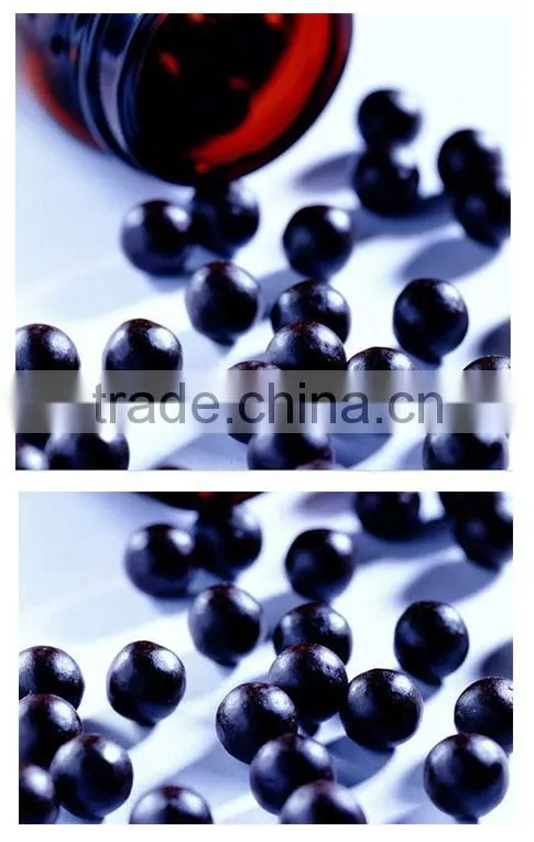 WZ-20 Chinese Pill Making Machine, Pharmecutical Pellet Making Machine