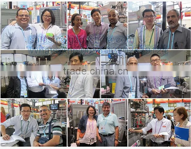 Stainless steel CE approved ginger garlic paste making machine