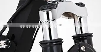 AEST Electric Scooter