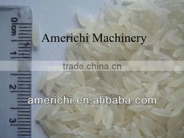 Artificial nutrition rice processing machine in Jinan