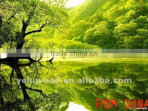 Best price for plywood sheet / Best quality plywood