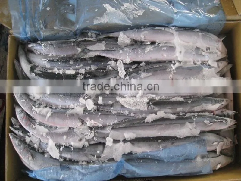 seafrozen pacific saury wr