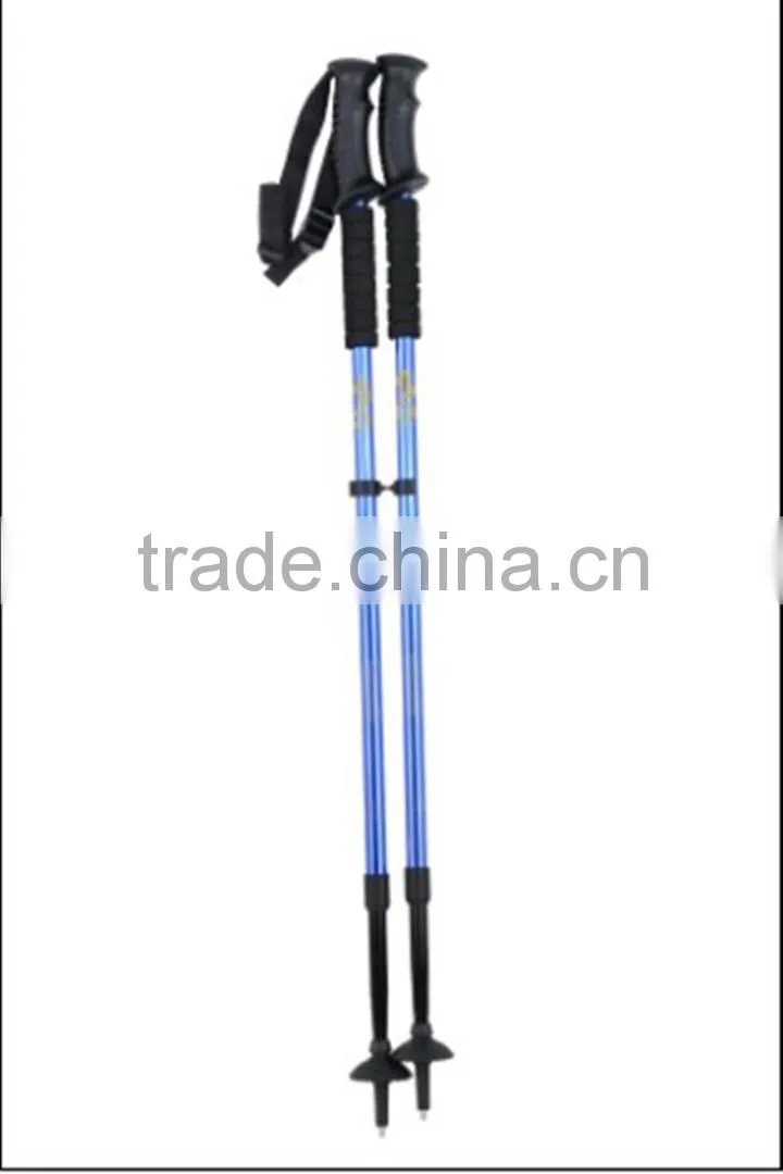 Walking Stick