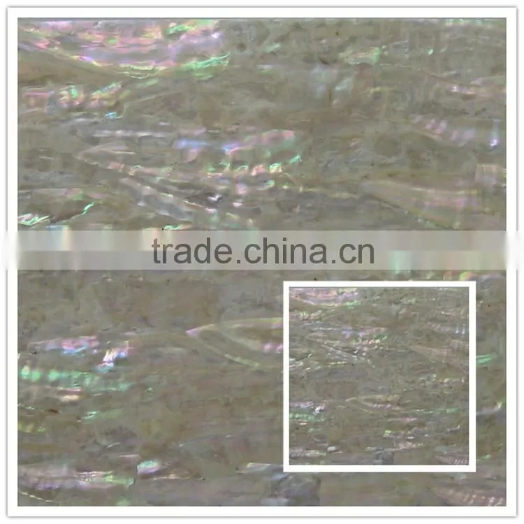 wholesale factory price abalone/paua shell wallpaper shell sheet wall coating