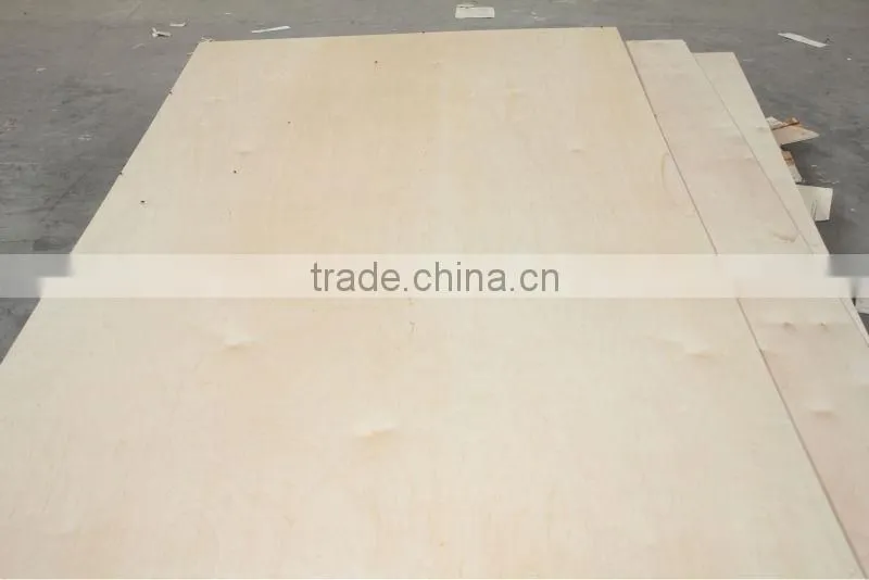 4/6/8/10/18mm bich plywood for russia market
