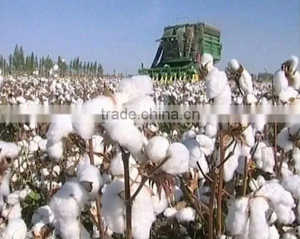 100% cotton bed sheet wholesale for hotel and household