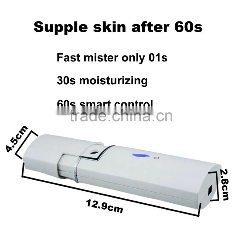 BC-1103B Professional Electric Skin Care Facial Spray Nano Mist