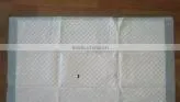 disposable dog diaper
