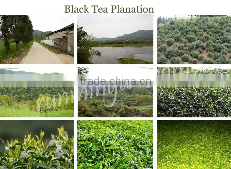 Health Keemun Black Tea Black Tea Reasonable Price(EU standard)
