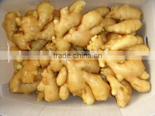 chinese fresh ginger specification