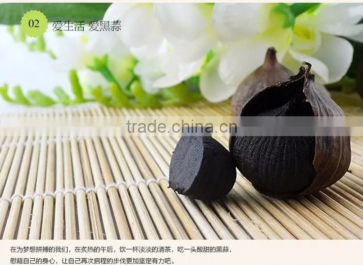 Hot selling chinese black garlic Japanese technology
