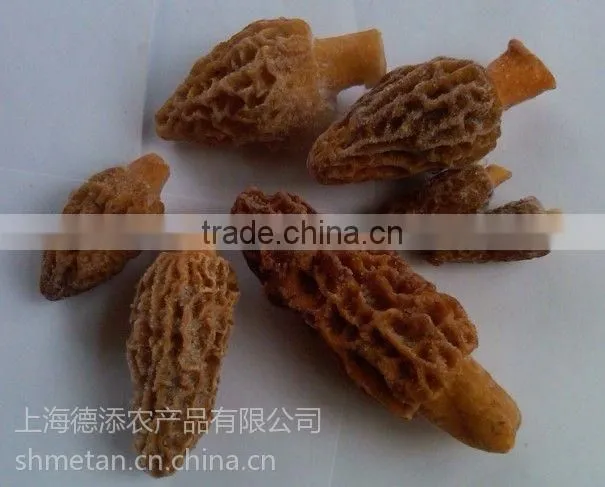 Frozen Processing Type Morels