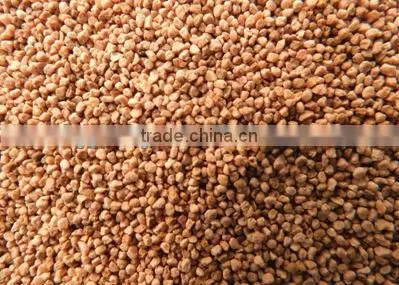 crushed dry walnut shell in turbo charger 12-20 16-20 mesh