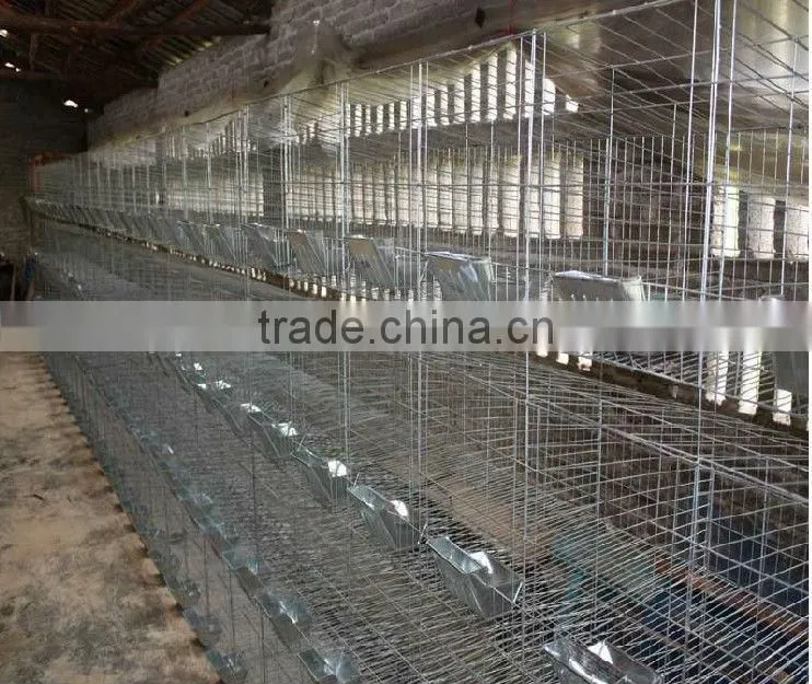 rabbit hutch designs