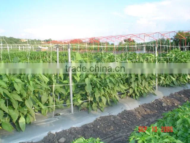 Climbing plant support trellis netting