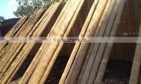 WY-181 2016 Wholesale natural eco-friendly 8-10mm bamboo drinking straw