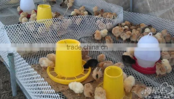 2016 Hot selling automatic feeder for chicken