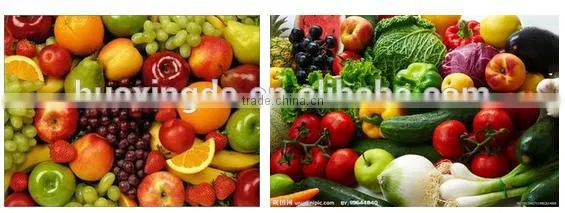 home restaurant ultrasonic fruit vegetable washing machine/Ozone cleaning machine